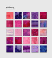 Wildberry Rhapsody Palette