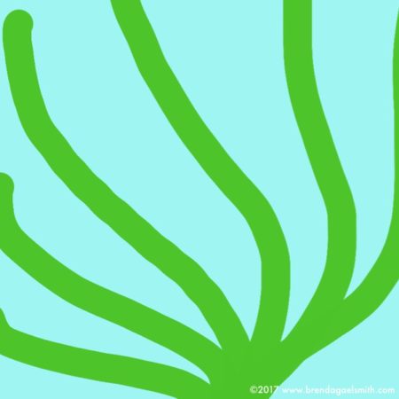 Seagrass sketch