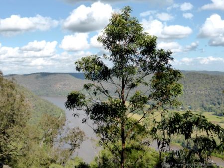 View over the Hawkesbury River from Finchs Line Lookout
